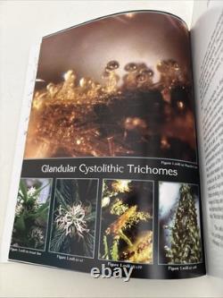 1st Ed 1st Pr GREAT BOOKS OF HASHISH VOL 1 BOOK 1 Laurence Cherniak SIGNED COPY