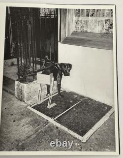 Asger Carlsen Wrong Signed Photo Book Rare 2010 Limited Edition