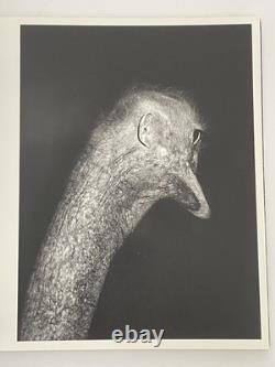 Asger Carlsen Wrong Signed Photo Book Rare 2010 Limited Edition