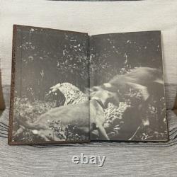 Brave and Other Stories by Steve M. Matthes Hardcover Book 1st Edition Signed