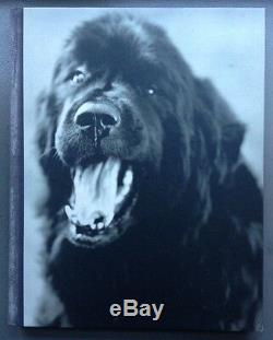 Gentle Giants Book Of Newfoundlands Bruce Weber 1994 First Edition Signed