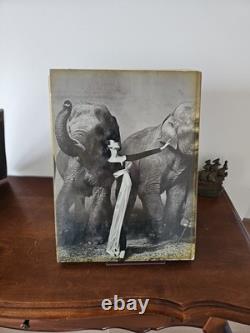 Photographs-1947-1977- Signed & First Edition & Evidence Book Lot Rare