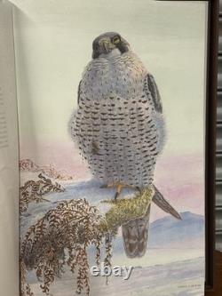 Rare Ltd Edition Book Birds & Flowers Of Balmoral RRP £1100 James Alder Signed