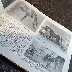 The Arab Horse, PETER UPTON 1989 1ST ED Arabian Horse Book Signed & Illustrated