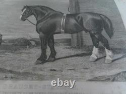 The Book of the Farm by Henry Stephens Vols 1 & 2, 1851