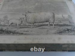 The Book of the Farm by Henry Stephens Vols 1 & 2, 1851