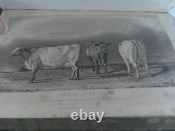 The Book of the Farm by Henry Stephens Vols 1 & 2, 1851