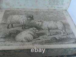 The Book of the Farm by Henry Stephens Vols 1 & 2, 1851