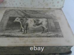 The Book of the Farm by Henry Stephens Vols 1 & 2, 1851