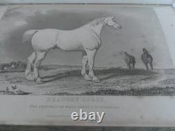 The Book of the Farm by Henry Stephens Vols 1 & 2, 1851