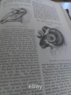 The Book of the Farm by Henry Stephens Vols 1 & 2, 1851